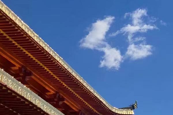 沈阳侦探：出轨取证的重要性，该如何收集对方出轨的证据！